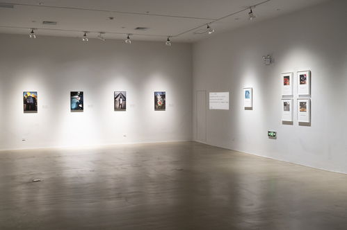 看展覽 15位中國(guó)攝影藝術(shù)家眼中的多彩法蘭西與禮儀服務(wù)