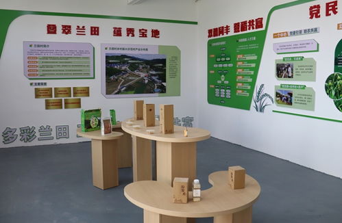 龍巖新羅 千年薏米貢品煥新生，全鏈增值打造“共富金豆”