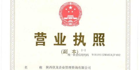 陜西伏龍企業(yè)管理咨詢 賦能企業(yè)，驅(qū)動(dòng)增長