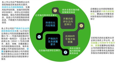 德勤解析《關(guān)于強(qiáng)化上市公司及擬上市企業(yè)內(nèi)部控制建設(shè) 推進(jìn)內(nèi)部控制評價(jià)和審計(jì)的通知》要點(diǎn)及企業(yè)管理咨詢啟示